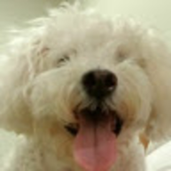 Meet your Posher, Jose - Picture 1 of 1